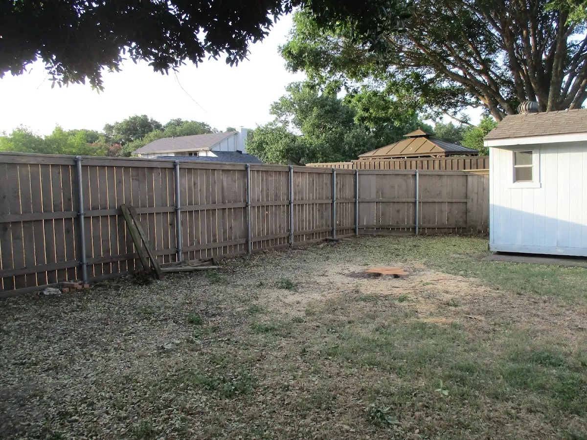 Cleared yard after professional tree removal in New Lisbon